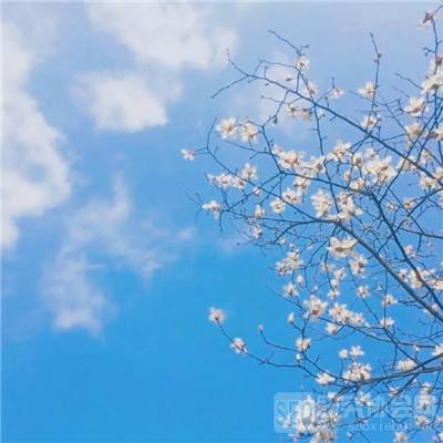 明珠三国志变态版下载