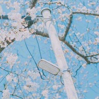 狄仁杰之灾变长安官方版(暂未上线)v1.0.0 安卓版